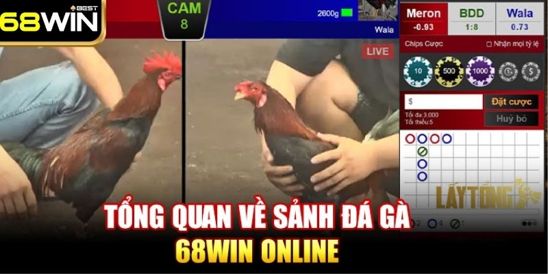 Sảnh đá gà 68WIN thu hút đông đảo thành  viên